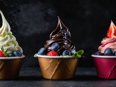 thriving-frozen-yogurt-business-for-sale-tutti-frutti-uwa-0