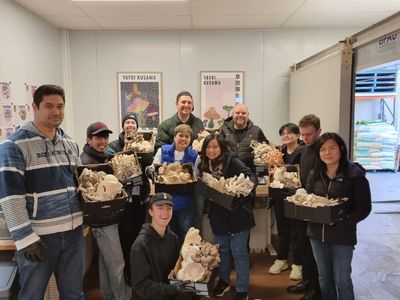 leading-gourment-and-medicinal-mushroom-farm-in-melbourne-for-sale-7