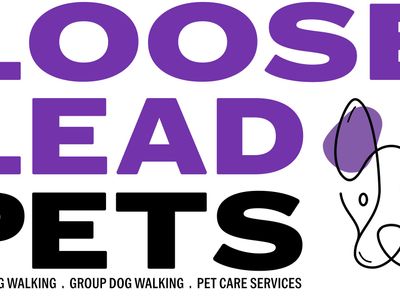 successful-dog-walking-and-petcare-franchise-1