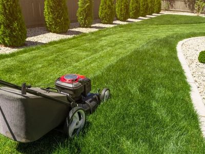 garden-lawn-maintenance-northern-beaches-for-sale-100k-0