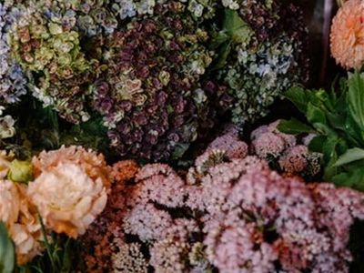 newcastle-cbd-florist-1