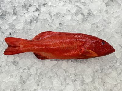 gourmet-seafood-take-away-and-fresh-retail-wholesale-business-0