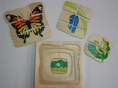 profitable-supplier-of-educational-toys-to-childcare-centres-1