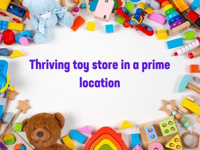 established-toy-store-is-ready-for-more-success-0