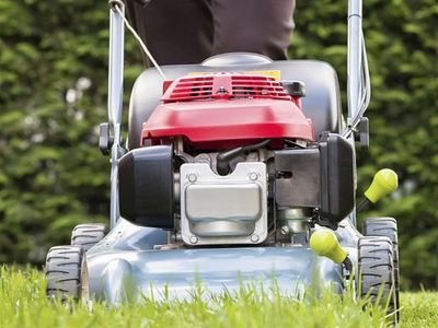 sydney-based-gardening-business-for-sale-100k-0