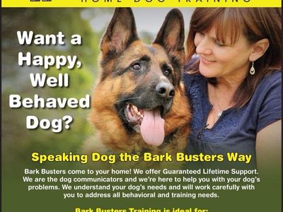 bark-busters-dog-training-franchise-2