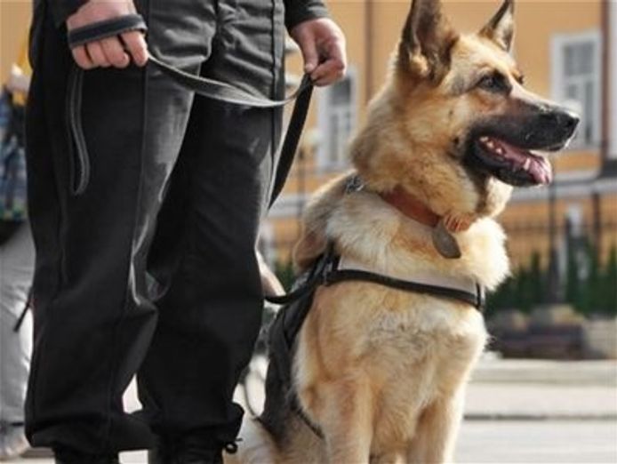 bark-busters-dog-training-franchise-7