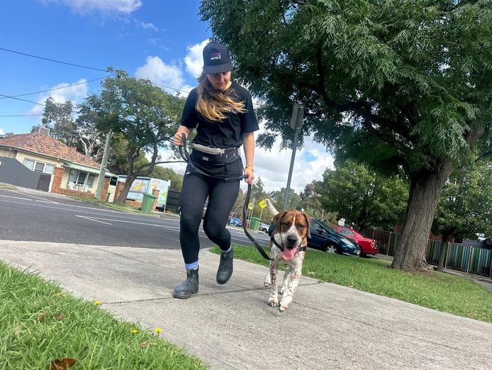 successful-dog-walking-and-petcare-franchise-3