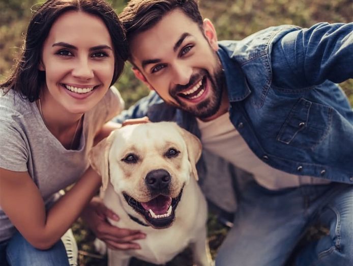 bark-busters-dog-training-franchise-1