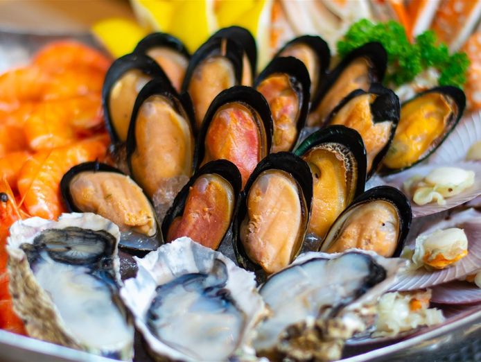 longstanding-seafood-business-with-diversified-revenue-streams-2