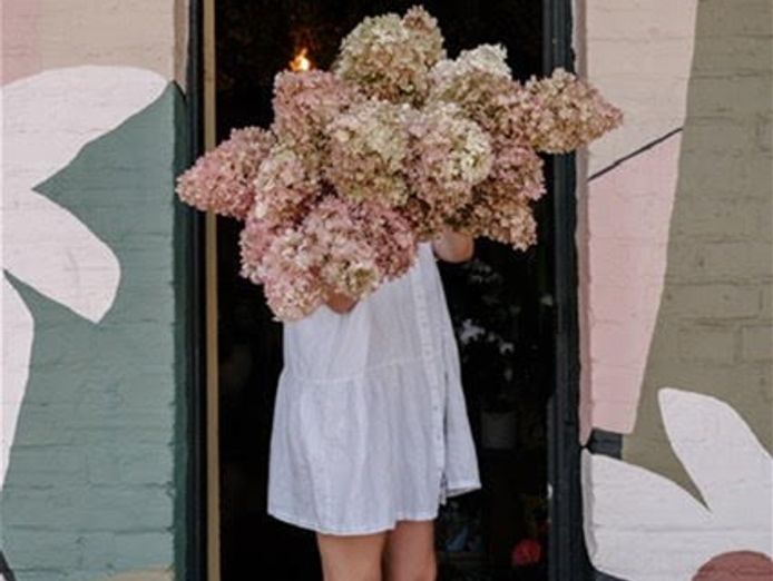 newcastle-cbd-florist-0