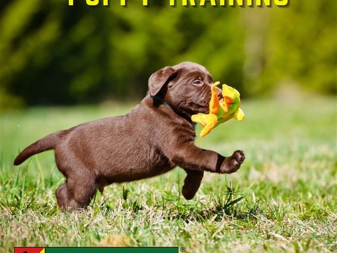 bark-busters-dog-training-franchise-5