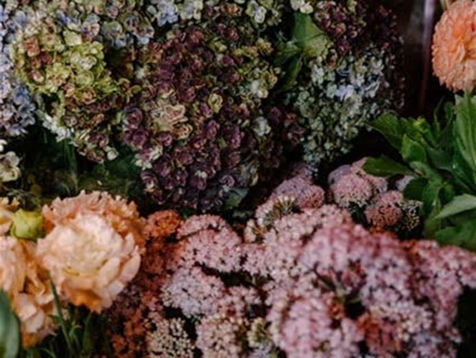 newcastle-cbd-florist-1