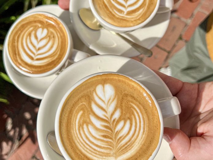 unique-thriving-cafe-geelong-5