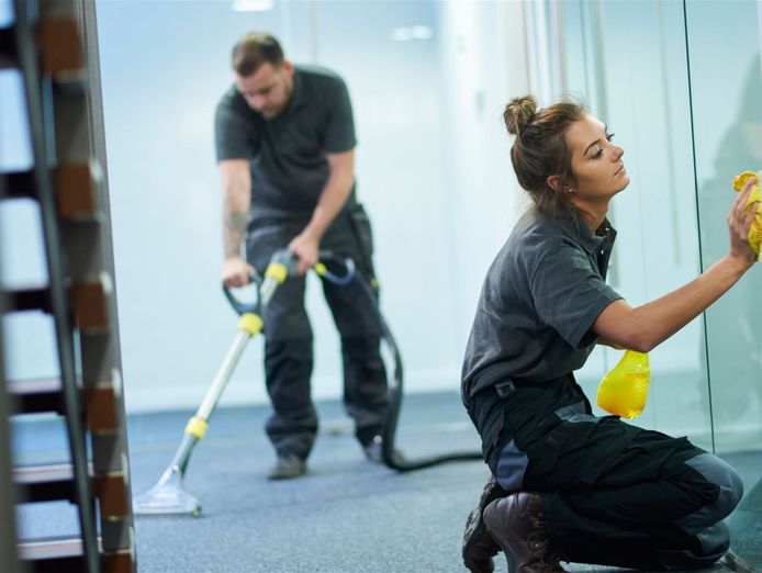 award-winning-cash-cow-of-an-exterior-pressure-cleaning-business-4