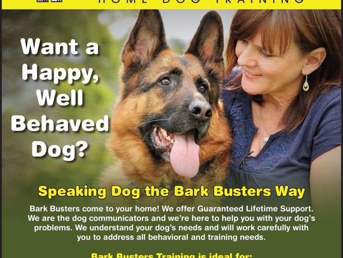 bark-busters-dog-training-franchise-2