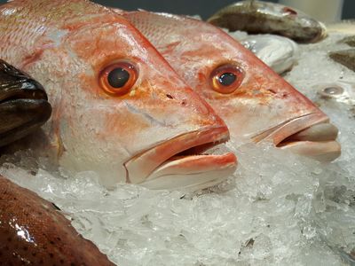 under-offer-well-established-fish-chip-takeaway-business-6