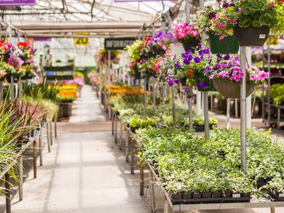 thriving-garden-centre-pet-store-stockfeed-florist-3