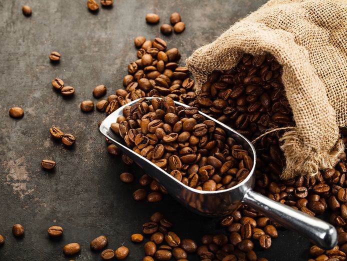 specialty-coffee-cafe-opportunity-in-maryborough-qld-0