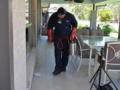 carpet-cleaning-pest-control-business-gold-coast-james-home-services-2