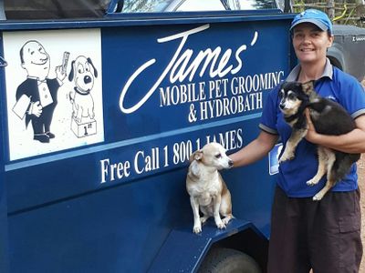 pet-dog-grooming-hydrobath-mobile-business-james-home-services-8