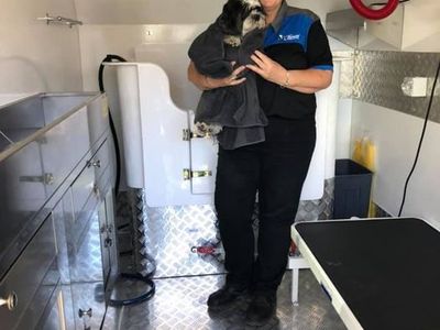 pet-grooming-business-cairns-atherton-tablelands-james-home-services-1