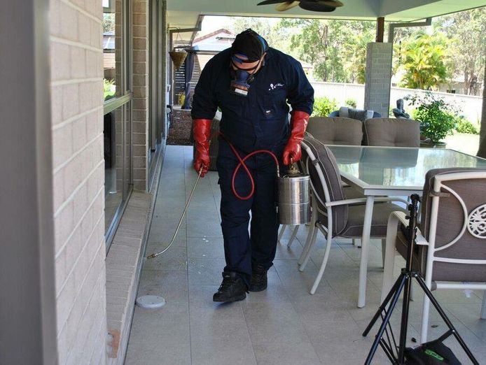 carpet-cleaning-pest-control-exclusive-areas-in-penrith-surrounds-available-4