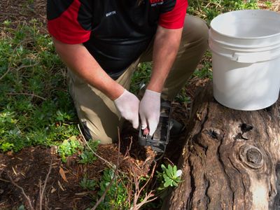 existing-pest-control-franchise-for-sale-rolleston-nz-1