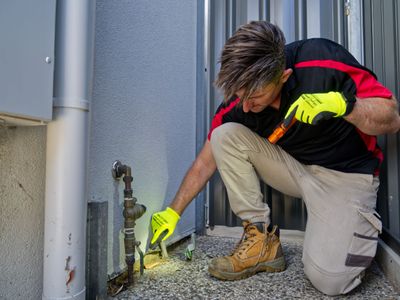 existing-pest-control-franchise-for-sale-rolleston-nz-7