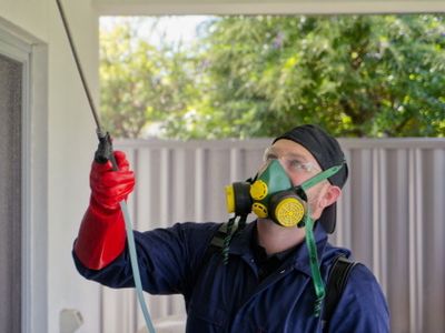 existing-pest-control-franchise-for-sale-rolleston-nz-5