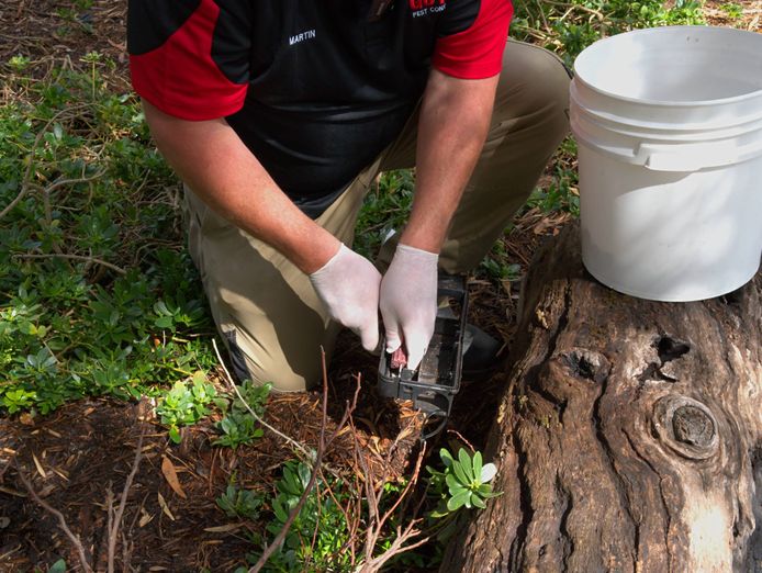 existing-pest-control-franchise-for-sale-rolleston-nz-1