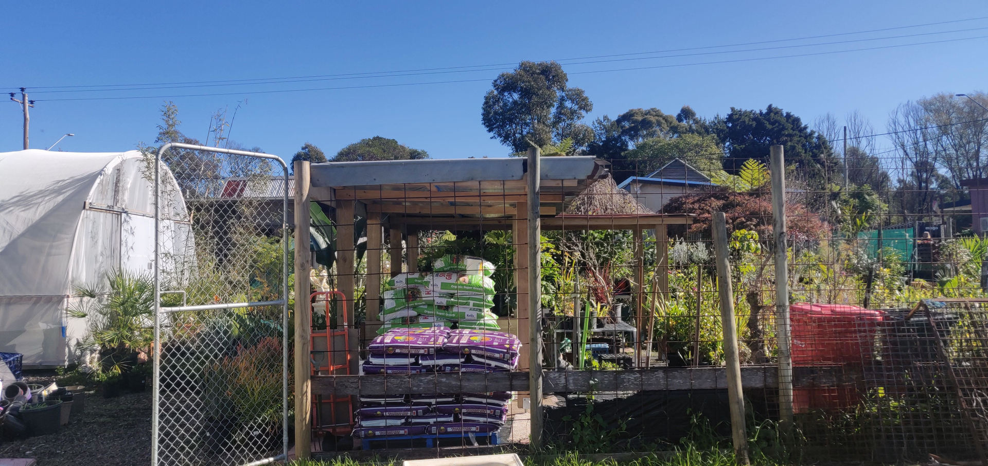 Mogo Nursery & Freehold for Sale! Amazing Potential for Further