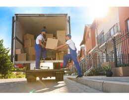 Furniture Removals Business - Adelaide