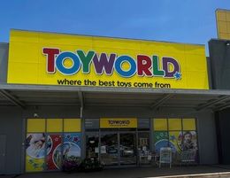 Successful Toyworld business - Under Management