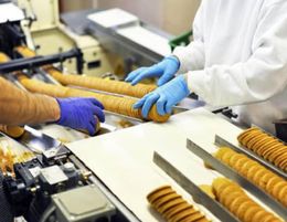 The Artisan Biscuit Manufacturer