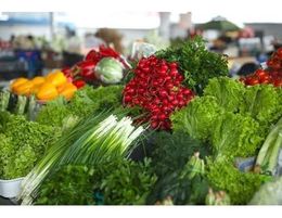 Wholesale Fruit & Veg Business - South Australia