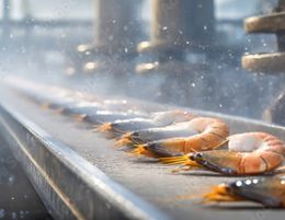 Unique Opportunity: Australian Seafood Processing Business