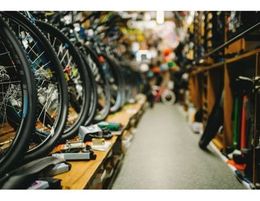 Bike Shop  Consistent Growth and Very Profitable