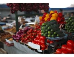 SA-based Wholesale Fruit & Veg Business