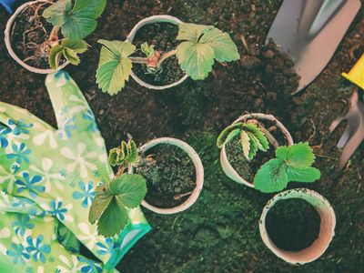garden-supply-business-mansfield-victoria-0