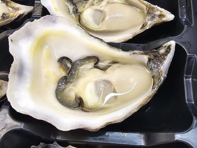 fresh-seafood-business-easy-to-run-4