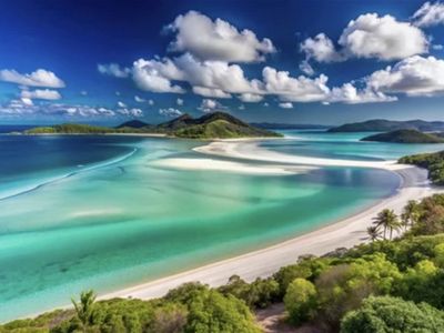 hospitality-lease-for-sale-in-paradise-beachside-bar-grill-7