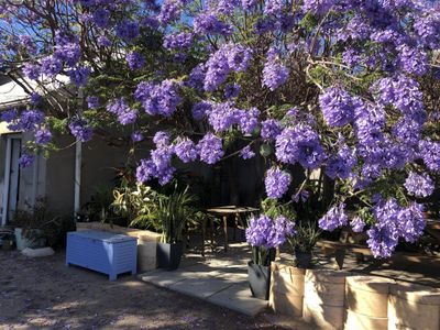 accommodation-business-amp-property-geraldton-wa-2