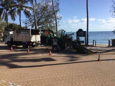 long-established-tree-services-business-coastal-lifestyle-9