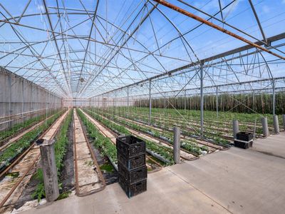 hydroponic-vegetable-crop-farm-land-buildings-amp-machinery-6