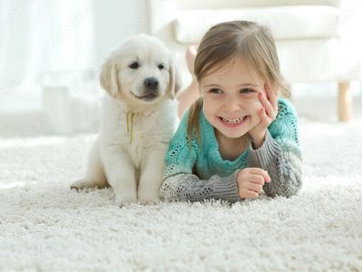 established-flooring-and-window-furnishings-business-mackay-9