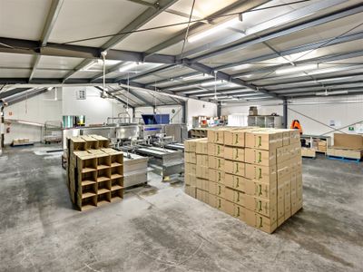 egg-production-retail-amp-hospitality-business-2