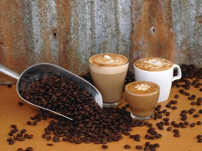 coffee-works-mareeba-far-north-queensland-2