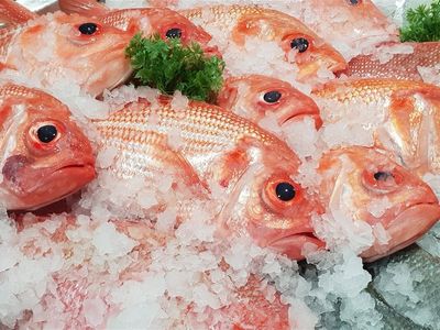 fresh-seafood-business-easy-to-run-0