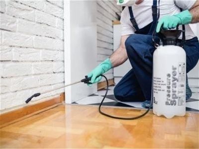 highly-successful-carpet-cleaning-0